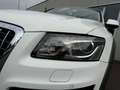 Audi Q5 2.0 tdi Quattro 170cv S-tronic TETTO/SEDILI RISC Wit - thumbnail 18