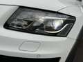 Audi Q5 2.0 tdi Quattro 170cv S-tronic TETTO/SEDILI RISC Wit - thumbnail 13