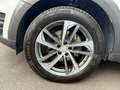 Audi Q5 2.0 tdi Quattro 170cv S-tronic TETTO/SEDILI RISC Wit - thumbnail 15