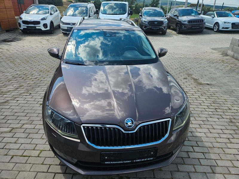 Skoda Octavia Combi Elegance 4x4 — photo 15