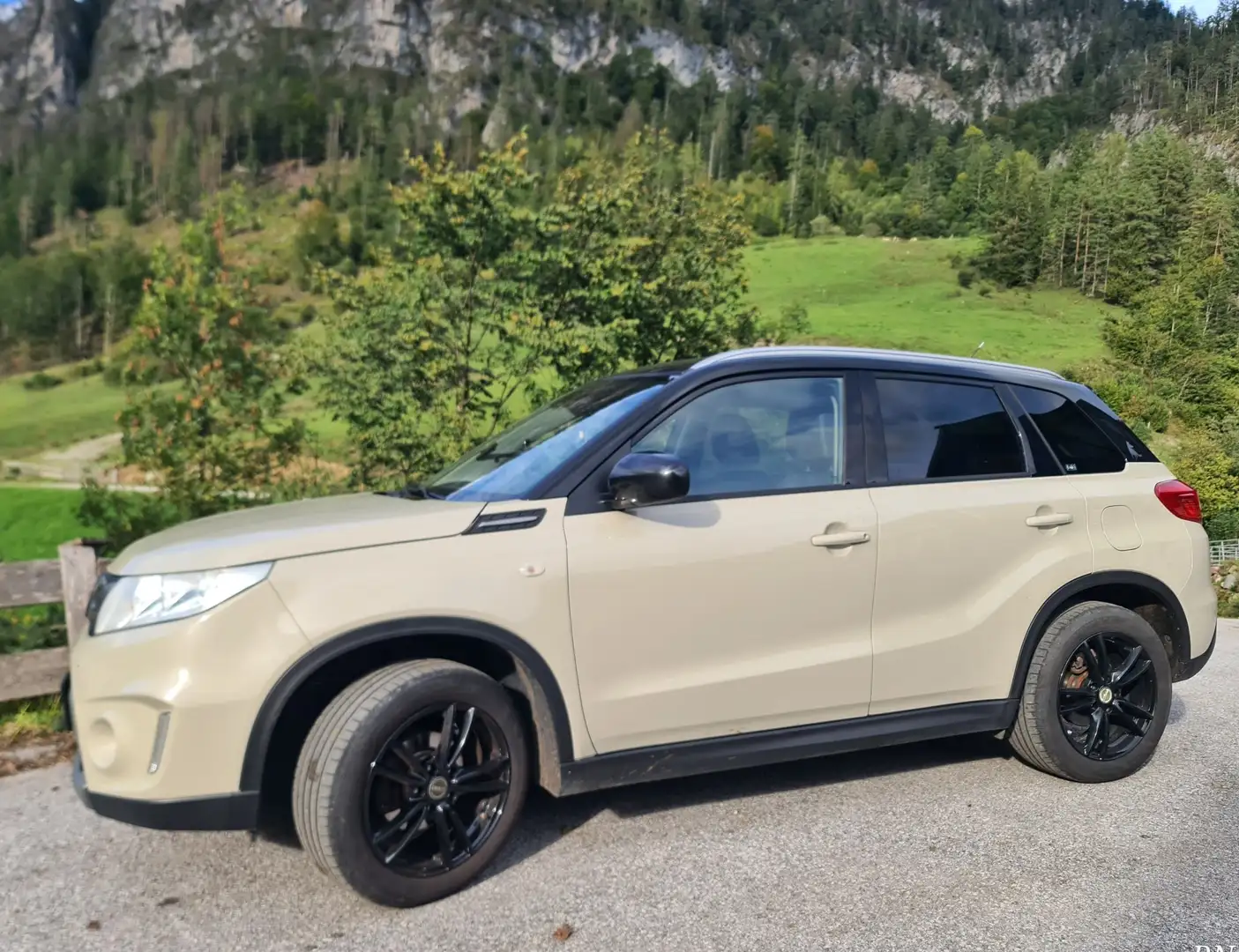Suzuki Vitara 1,6 VVT 4WD GL Clear Бежевый - 1