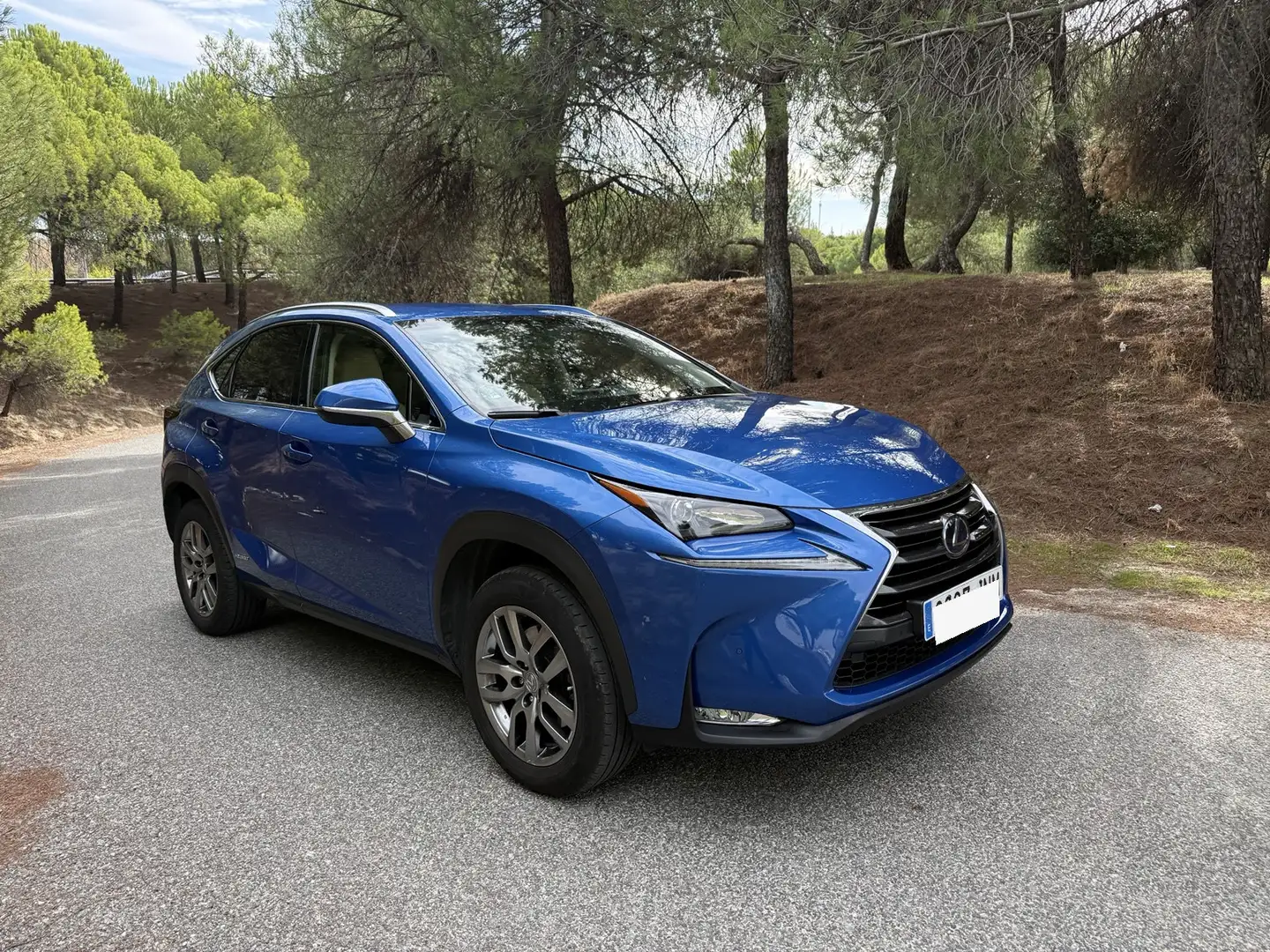 Lexus NX 300h Executive 4WD Tecno + Navibox - 1
