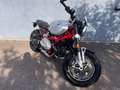 BMW R 12 nineT Vert - thumbnail 2