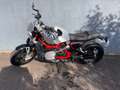 BMW R 12 nineT Vert - thumbnail 5