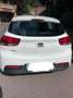 Kia Rio Rio 1,25 MPI Silber ISG Silber Weiß - thumbnail 3