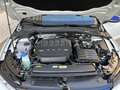 Volkswagen Golf 2.0 TSI R 20 Aniversario DSG 245kW Weiß - thumbnail 50