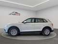 Audi Q5 35 TDI Advanced S tronic Weiß - thumbnail 3