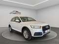 Audi Q5 35 TDI Advanced S tronic Weiß - thumbnail 8
