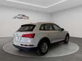 Audi Q5 35 TDI Advanced S tronic Weiß - thumbnail 6