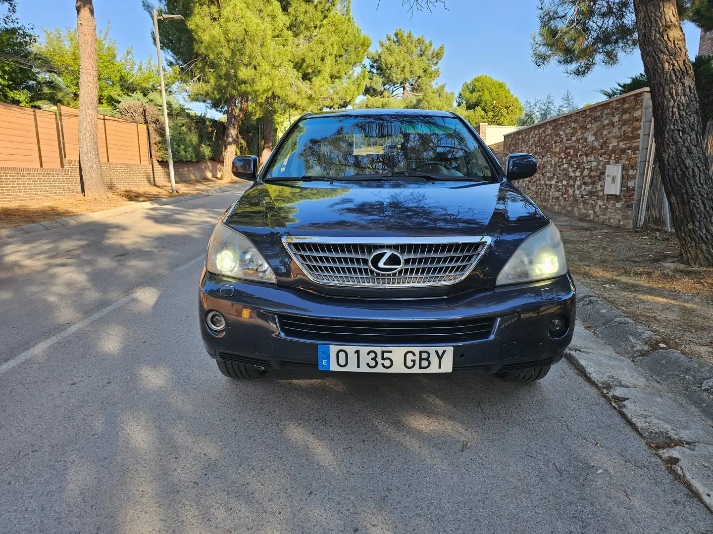 Lexus RX 400 RX 400h Premium Premium Blue - 2