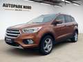 Ford Kuga Titanium/1.Hand/LED/XENON/SHZ/TEMP/PDC/NAVI Braun - thumbnail 1