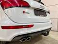Audi SQ5 3.0V6 Bi-TDI*Competition*FULL*History*CarPass*CTOK Weiß - thumbnail 8