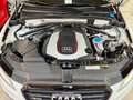 Audi SQ5 3.0V6 Bi-TDI*Competition*FULL*History*CarPass*CTOK Weiß - thumbnail 22