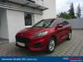 Ford Kuga 2,5 Duratec PHEV ST-Line X Aut. Rot - thumbnail 1