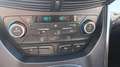 Ford Kuga 1.5 TDCI 120 CV S&S 2WD Pow. ST-Line "PROMO" Gris - thumbnail 13