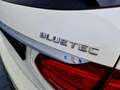Mercedes-Benz C 250 C 250 T BlueTec / d 4Matic (205.209) Weiß - thumbnail 18