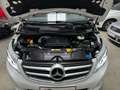 Mercedes-Benz V 250 4Matic Marco Polo LED,Navi,Markise,18"Alu Weiß - thumbnail 20