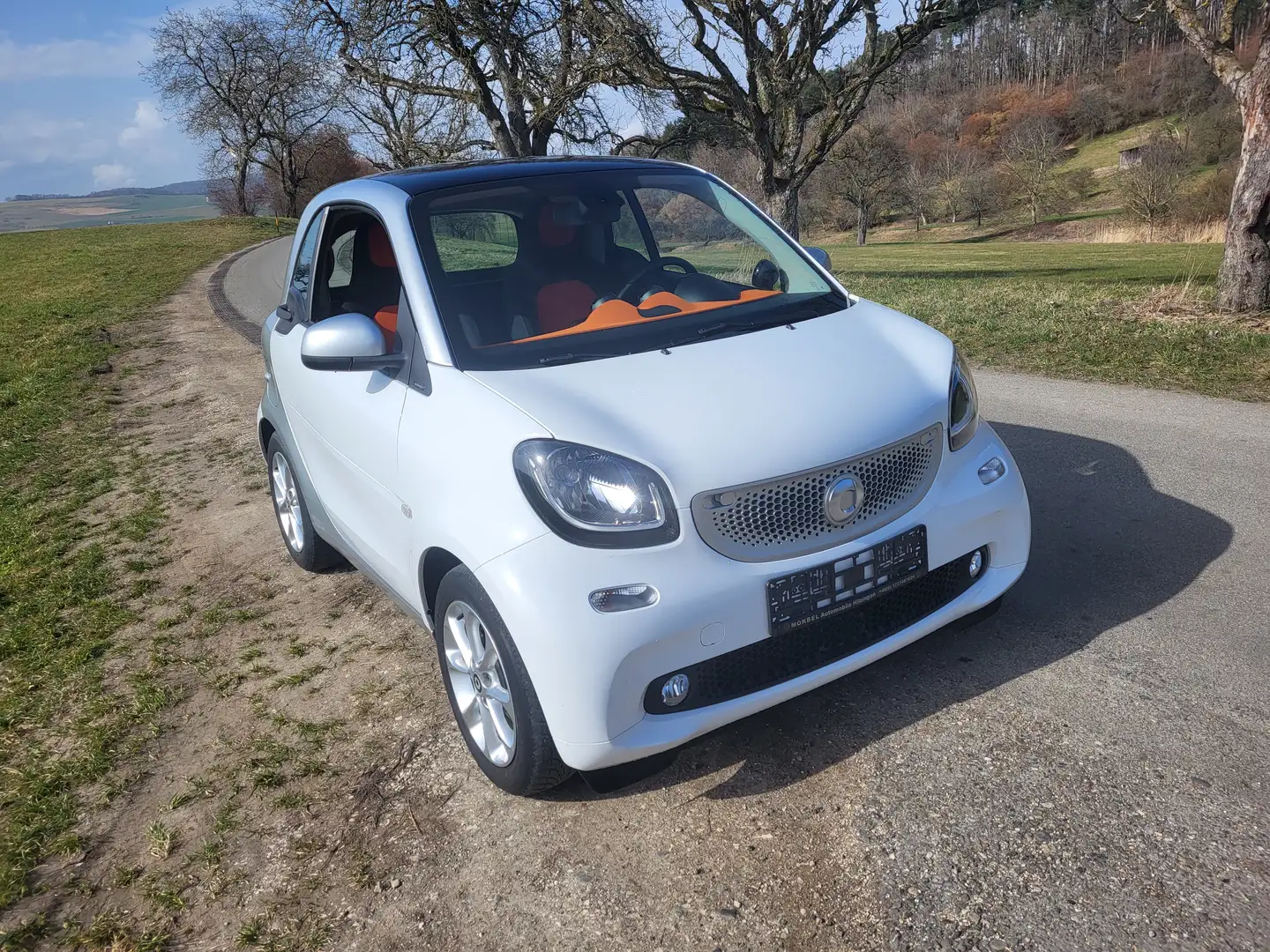 smart forTwo Basis (52kW) coupe White - 2