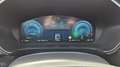 Ford Kuga 2,5 Duratec FHEV Titanium Aut. Weiß - thumbnail 13