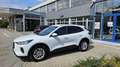 Ford Kuga 2,5 Duratec FHEV Titanium Aut. Weiß - thumbnail 4