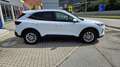 Ford Kuga 2,5 Duratec FHEV Titanium Aut. Weiß - thumbnail 10