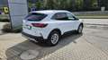 Ford Kuga 2,5 Duratec FHEV Titanium Aut. Weiß - thumbnail 9