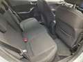 Ford Fiesta 1.0 EcoBoost Hybrid Titanium Navi Carplay Ecc Crui Weiß - thumbnail 12