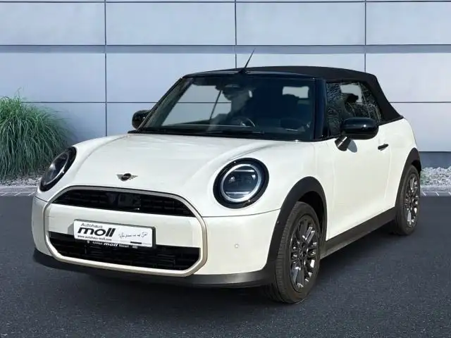 MINI Cooper Cabrio Cooper C Cabrio Favoured Trim