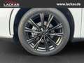 Lexus RX 450h h+ E-Four F Sport Design Weiß - thumbnail 9