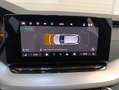 Skoda Octavia Essence TSI Grau - thumbnail 16