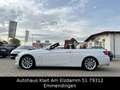 BMW 330 i Cabrio M Paket Facelift Automatik Wit - thumbnail 5