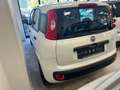 Fiat Panda PREZZO REALE NO VAN NO VINCOLI  GARANZ.12M EURO 6 Weiß - thumbnail 4