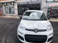 Fiat Panda PREZZO REALE NO VAN NO VINCOLI  GARANZ.12M EURO 6 Weiß - thumbnail 3