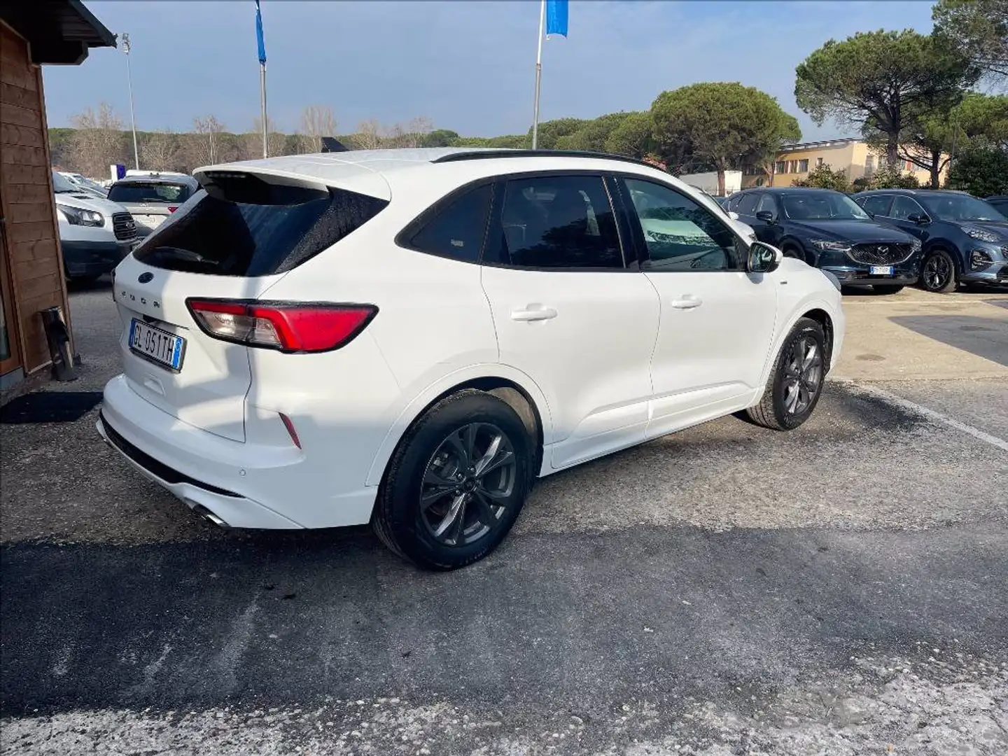 Ford Kuga 1.5 ecoblue ST-Line X 2wd 120cv auto Bianco - 2