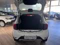 Dacia Sandero Stepway TCe 100 Celebration Blanco - thumbnail 6