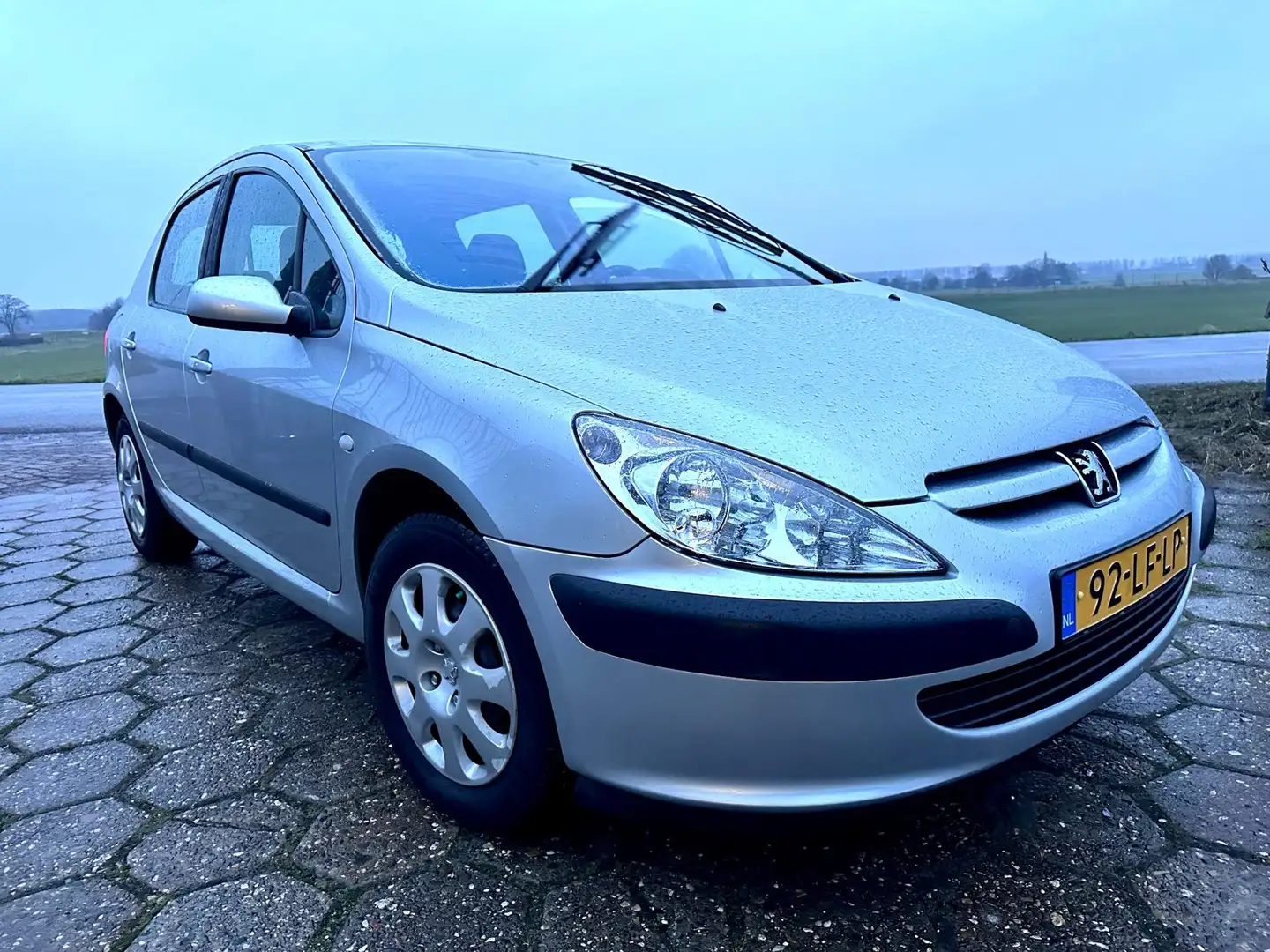 Peugeot 307 1.6-16V XS NAP 5Drs NIEUWE APK AIRCO Gris - 2