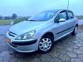 Peugeot 307 1.6-16V XS NAP 5Drs NIEUWE APK AIRCO Gris - thumbnail 3