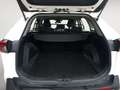 Toyota RAV 4 Rav4 2.5I 220H Business 4x4 Blanco - thumbnail 11