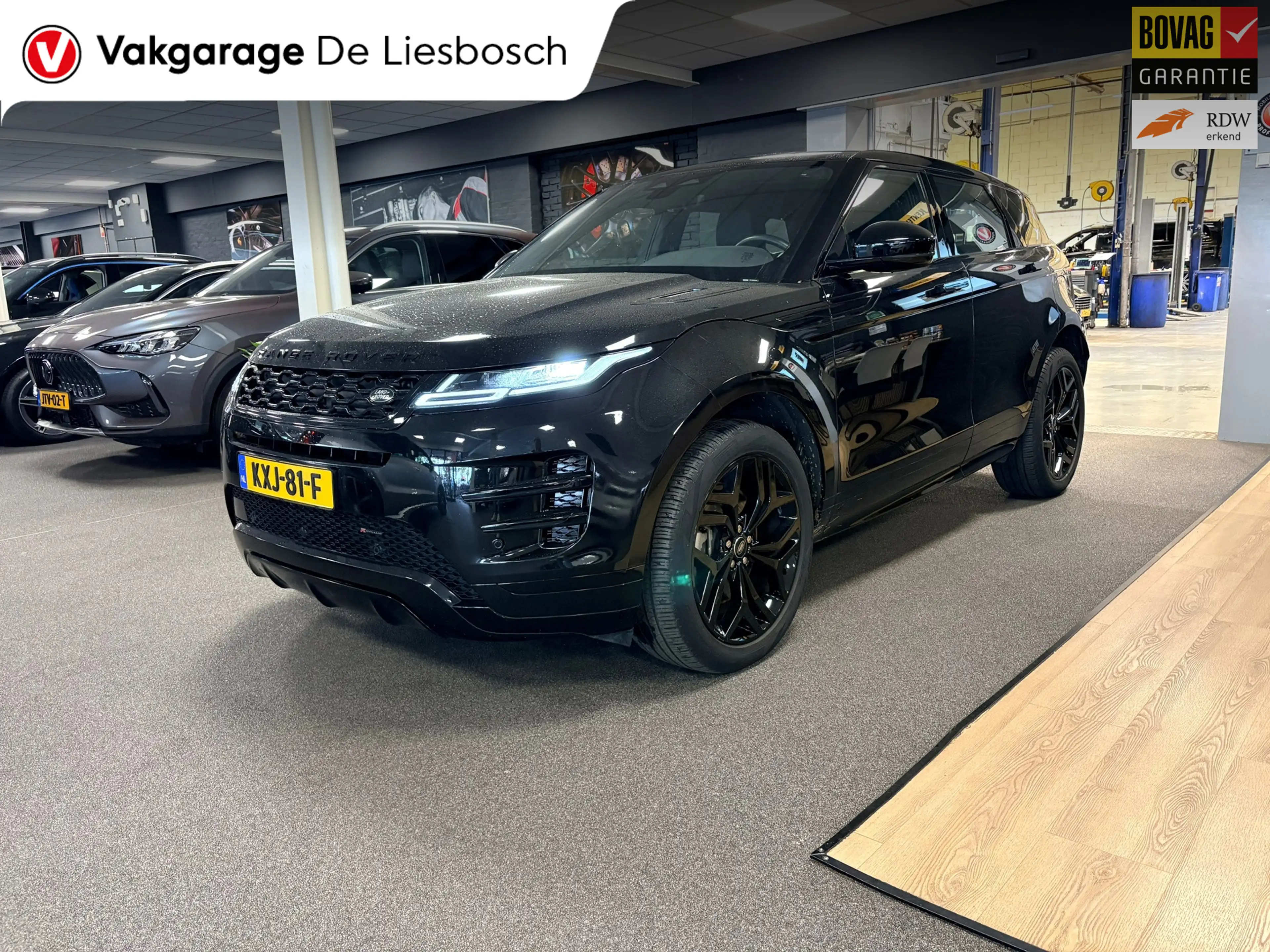 Land Rover Range Rover Evoque 1.5 P300e AWD R-Dynamic SE Leder / Meridian / came