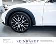 Mercedes-Benz E 400 d T ALL-TERRAIN 4MATIC/DISTR+/PANO/360°/AHK Blanco - thumbnail 11