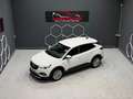 Opel Grandland X Dynamic Weiß - thumbnail 30