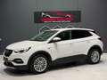 Opel Grandland X Dynamic Weiß - thumbnail 3