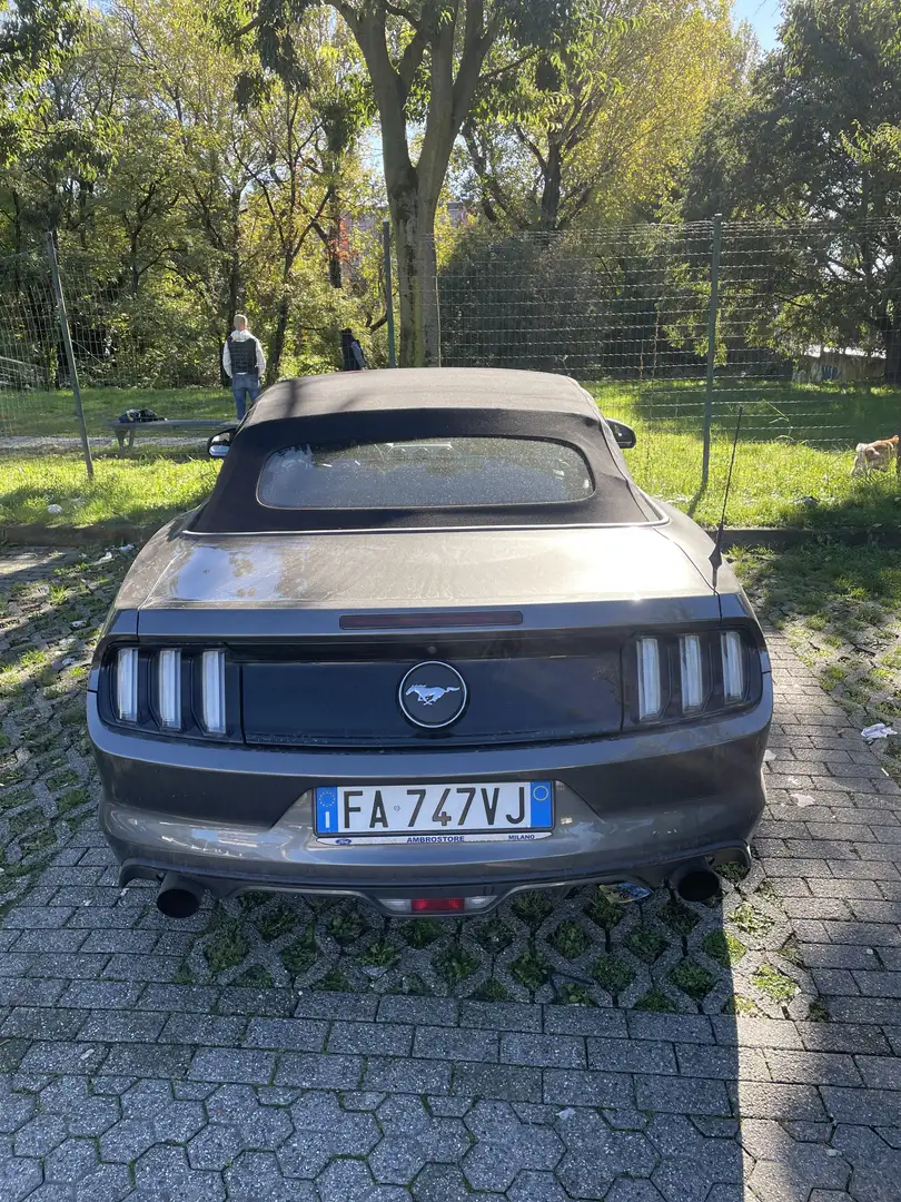 Ford Mustang 2.3 ecoboost 317cv Cabrio - Originale italiana Grigio - 2