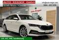 Skoda Octavia Combi Style 4x4 2,0 TDI DSG, LED, ACC, AHK Blanc - thumbnail 1