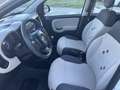 Fiat Panda 1.3 mjt 16v Easy s&s 95cv Bianco - thumbnail 8