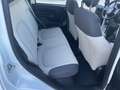 Fiat Panda 1.3 mjt 16v Easy s&s 95cv Bianco - thumbnail 9
