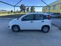 Fiat Panda 1.3 mjt 16v Easy s&s 95cv Bianco - thumbnail 4