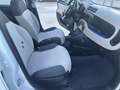 Fiat Panda 1.3 mjt 16v Easy s&s 95cv Bianco - thumbnail 10