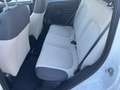 Fiat Panda 1.3 mjt 16v Easy s&s 95cv Bianco - thumbnail 7