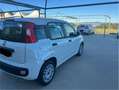 Fiat Panda 1.3 mjt 16v Easy s&s 95cv Bianco - thumbnail 6